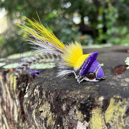 DAHLBERG DIVER - PURPLE & YELLOW