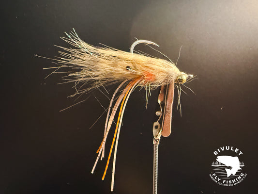 SPAWNING SHRIMP