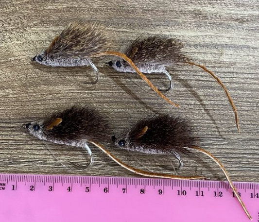 T'NF Mouse Rat