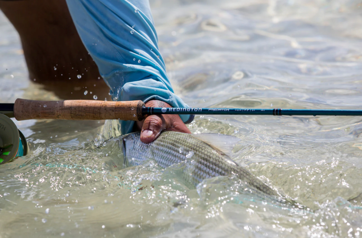 REDINGTON PREDATOR