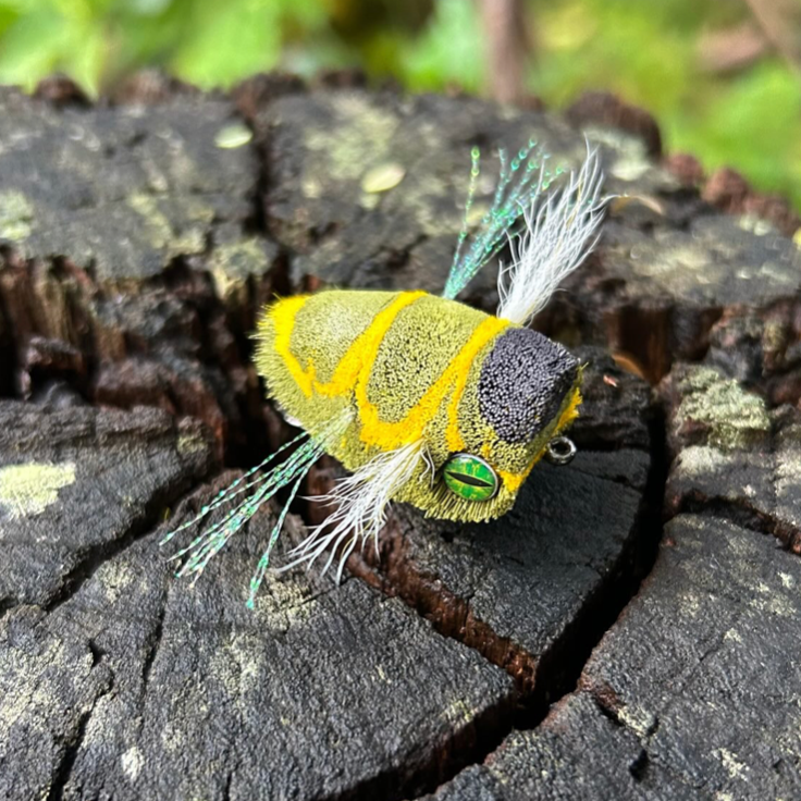 DOWNED CICADA