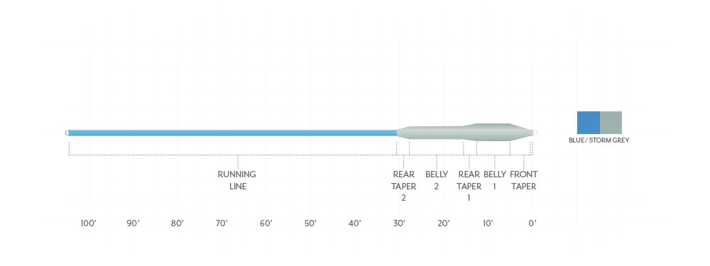 SCIENTIFIC ANGLERS SONAR STRIPER INTERMEDIATE