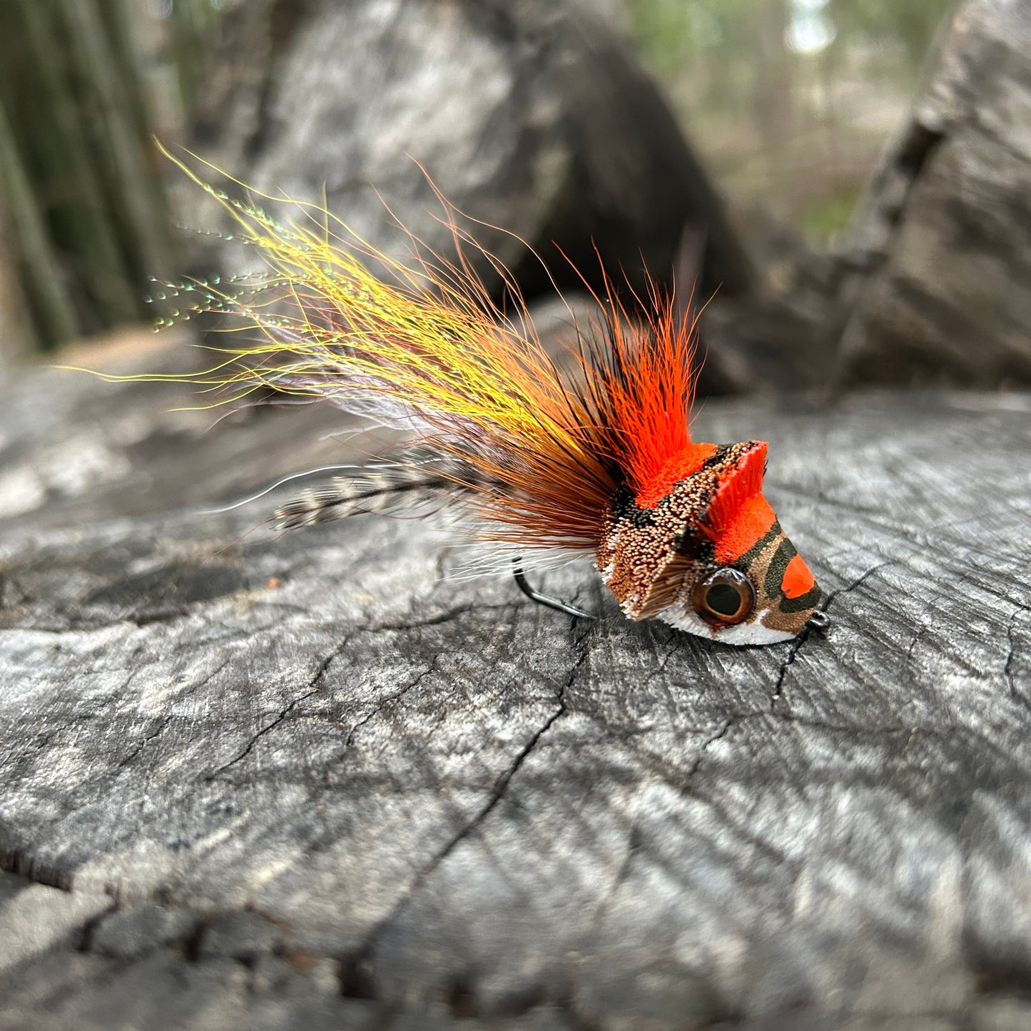 DAHLBERG DIVER - 1/0