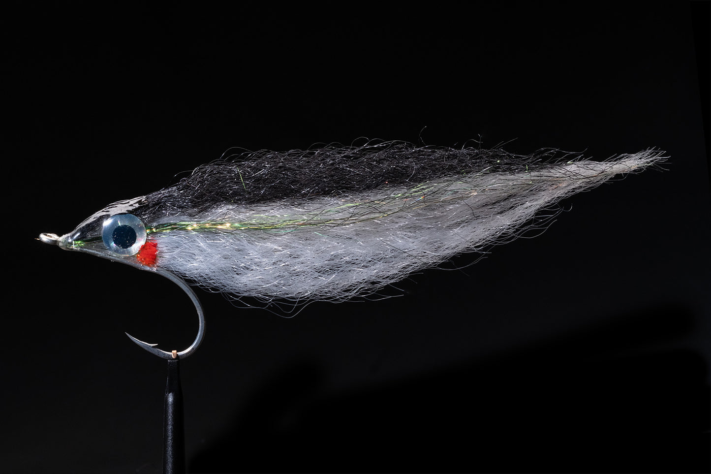 FLASHY PROFILE FLY