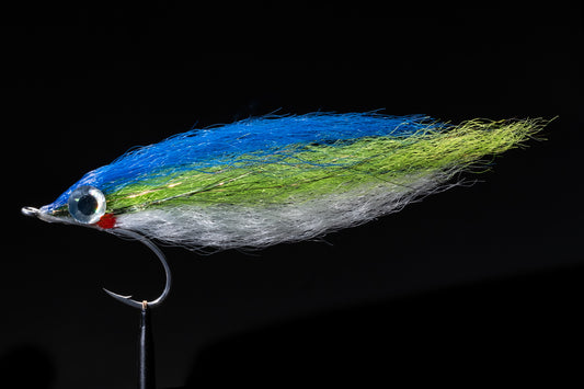 FLASHY PROFILE FLY