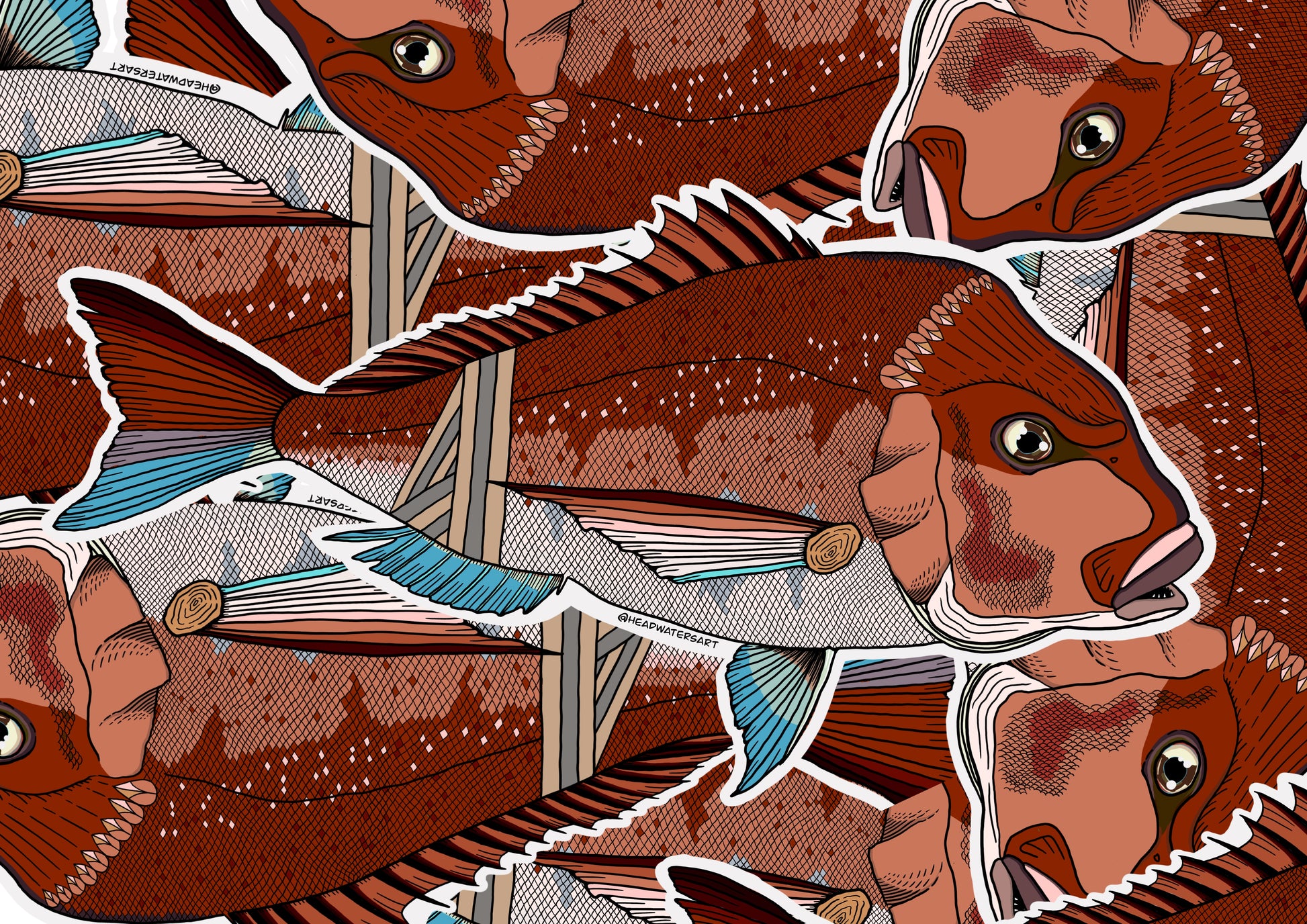 Snapper Fish Decals – Headwaters Art and Fly Shop
