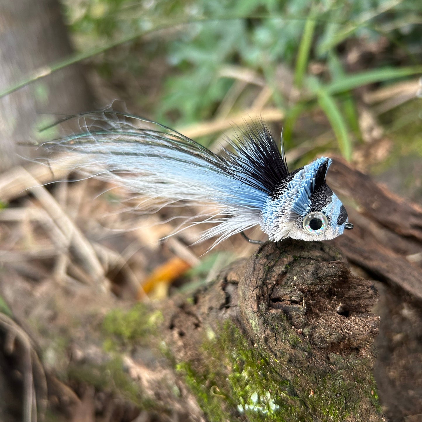 DAHLBERG DIVER - #2