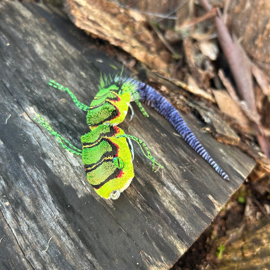 WATER DRAGON 8/0 - 6/0