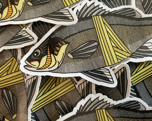 Australian artwork featuring hand-drawn art by Justin Webber. All fish measure approximately 120mm and 250mm. Premium vinyl stickers, specially laminated to resist the elements.