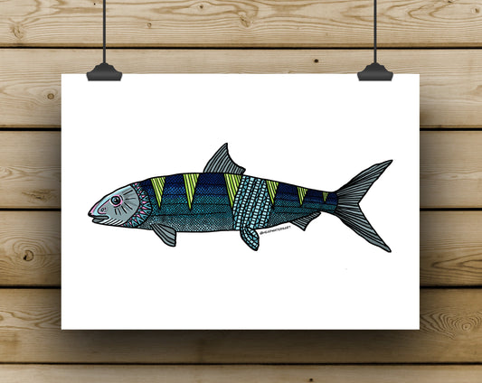 Bonefish Prints - **MONTHLY PREORDER** See description