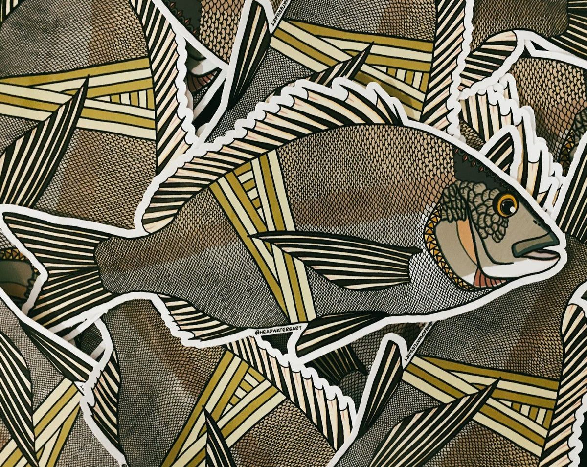 Bream Pattern Australian Bream Decals – Headwaters Art and Fly Shop