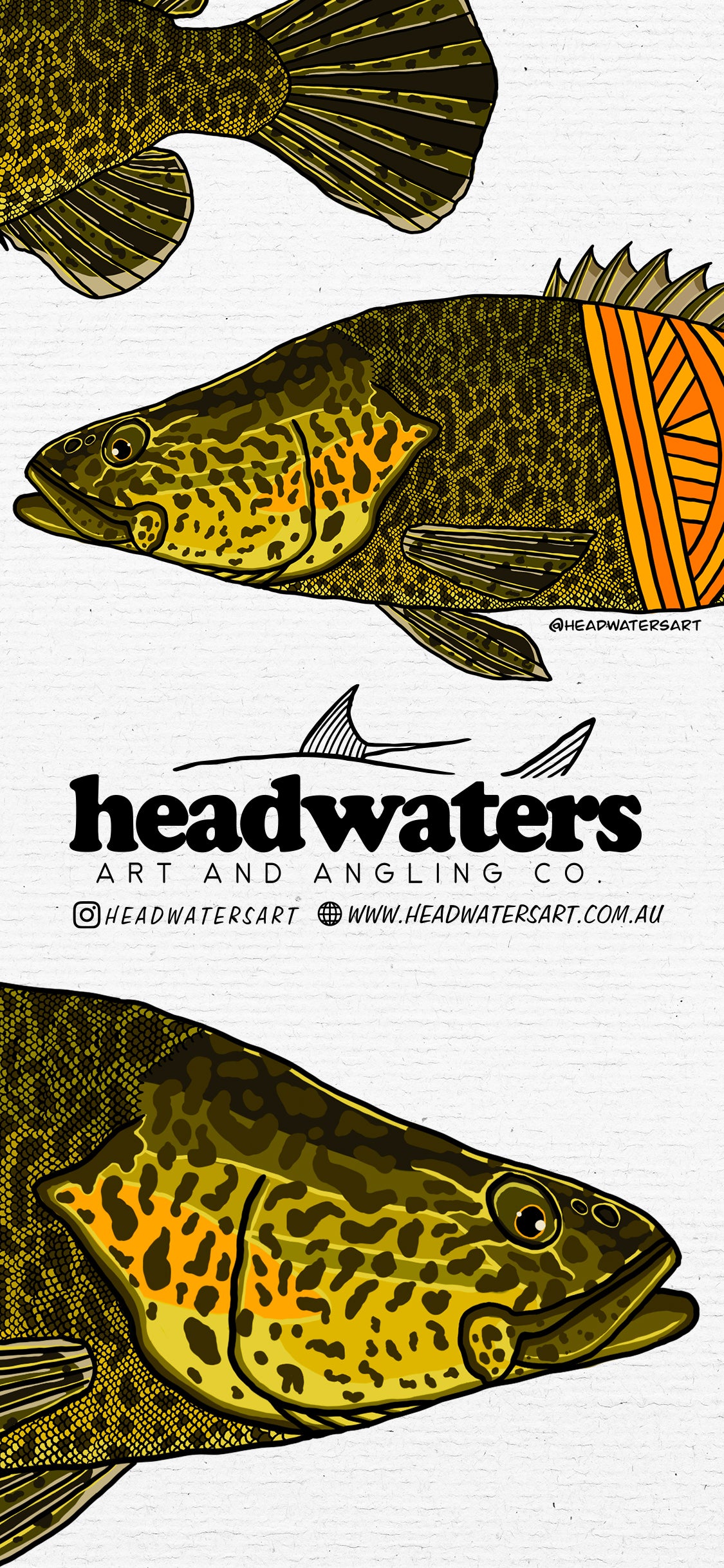 iPhone Digital Wall Paper - Murray Cod – Headwaters Art and Fly Shop
