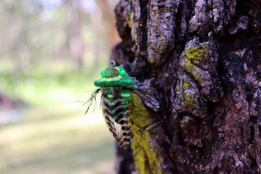 Cicada