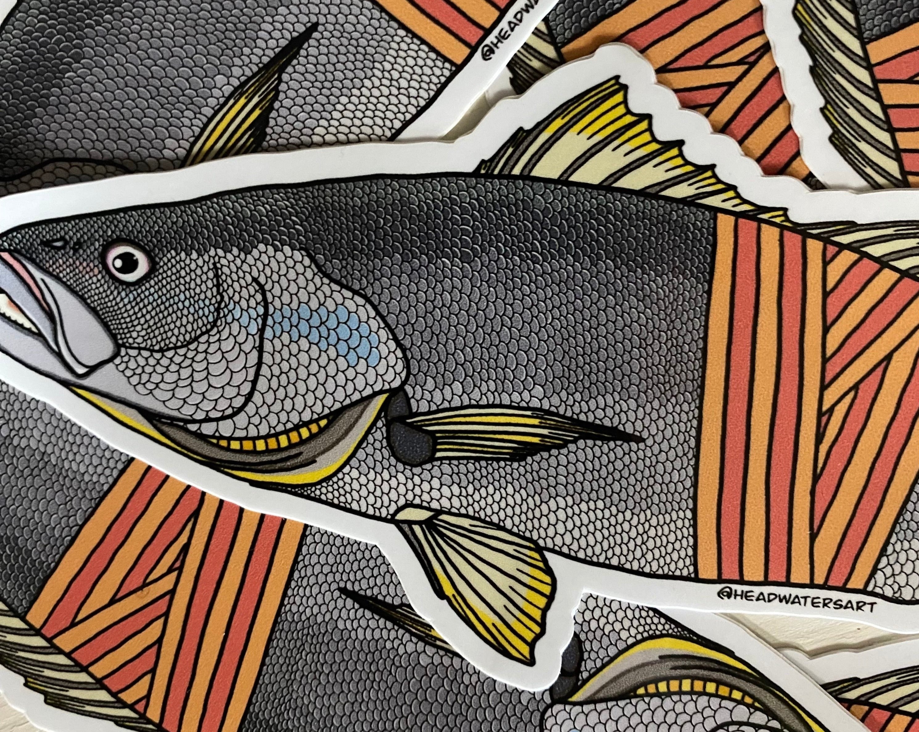 Mulloway Decals – Headwaters Art and Fly Shop