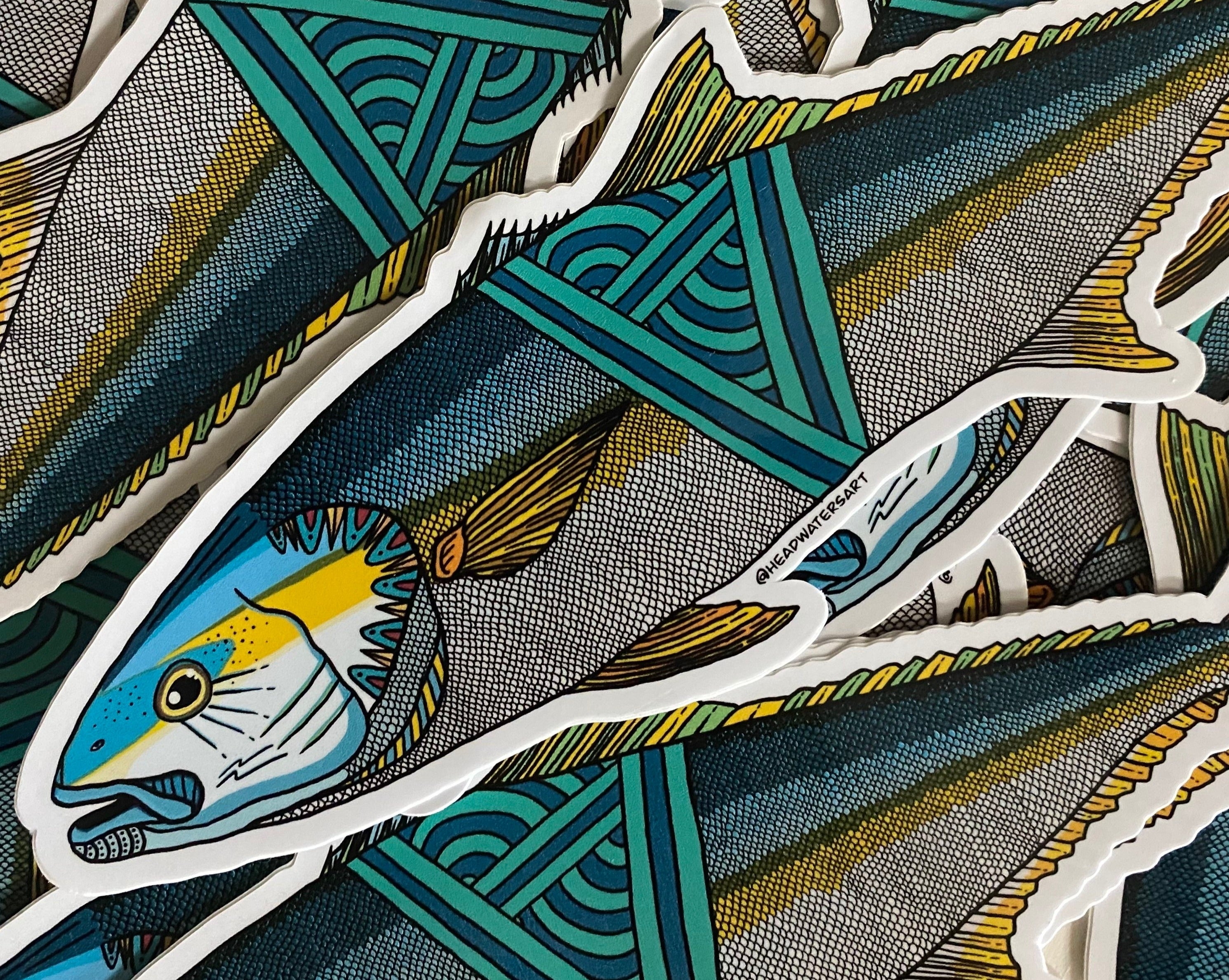 Yellowtail Kingfish Decals – Headwaters Art and Fly Shop