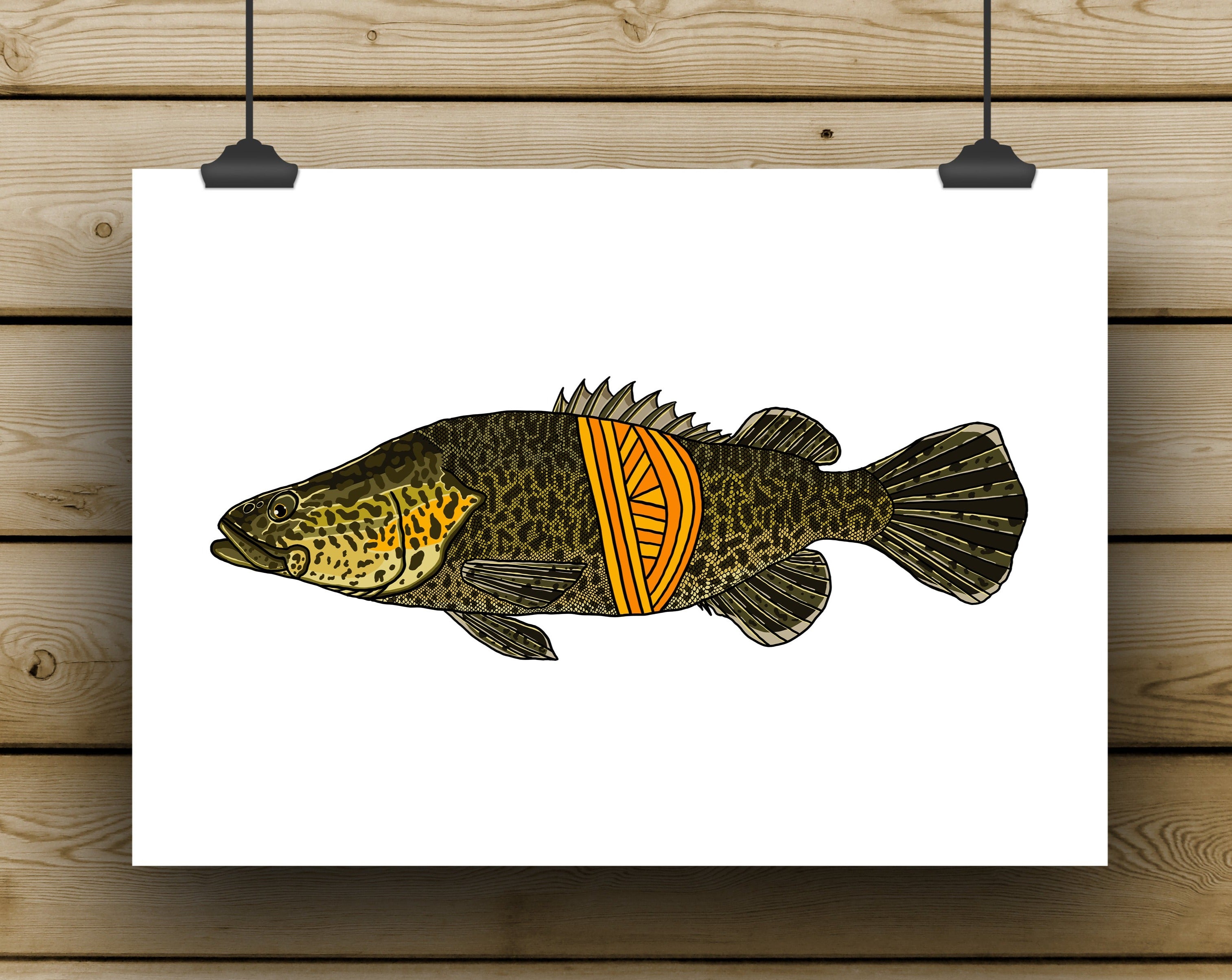 Murray Cod Prints - **MONTHLY PREORDER** See description – Headwaters ...