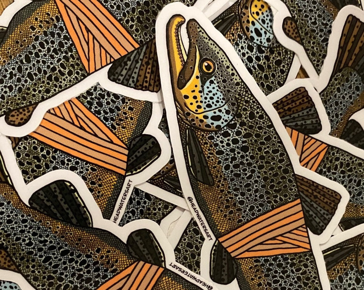 New Zealand Brown Trout Decals – Headwaters Art and Fly Shop