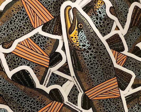 New Zealand Brown Trout Decals