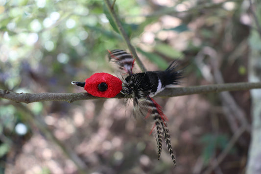 Red Head Bird