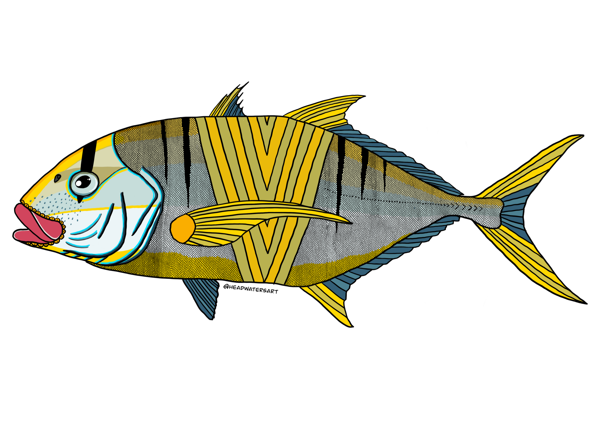 Golden Trevally Decals – Headwaters Art and Fly Shop