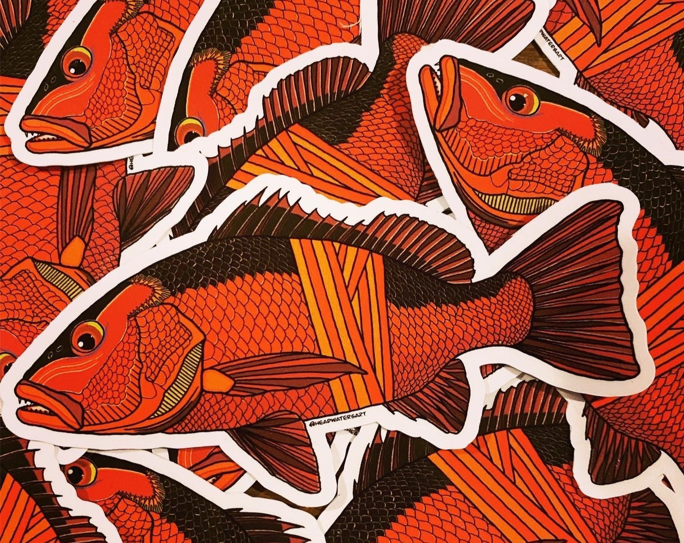 Mangrove Jack artwork featuring hand-drawn art by Justin Webber. All fish measure approximately 120mm and 250mm. Premium vinyl stickers, specially laminated to resist the elements.