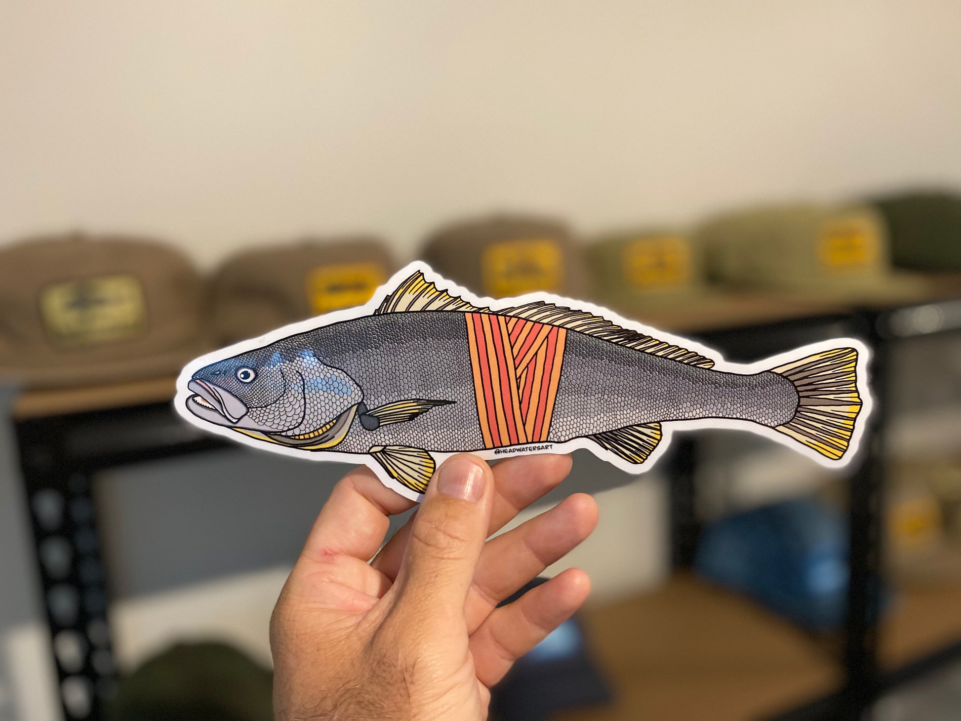 Mulloway Decals – Headwaters Art and Fly Shop